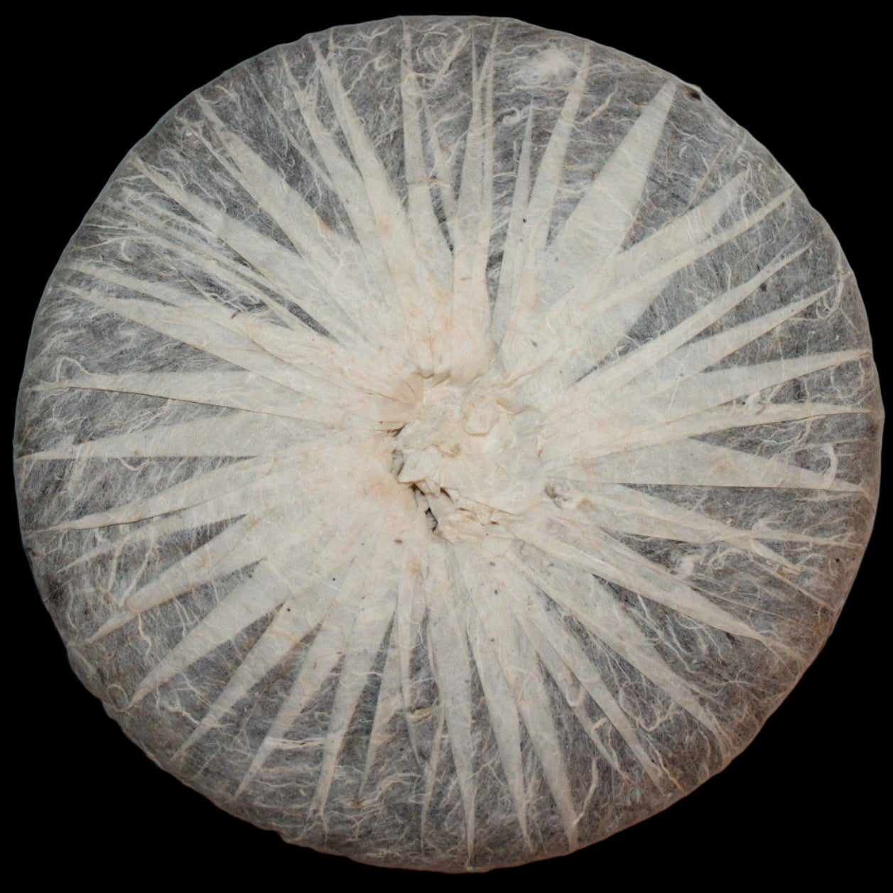 2005 Chen Yuan Hao Shan Zhong Chuanqi