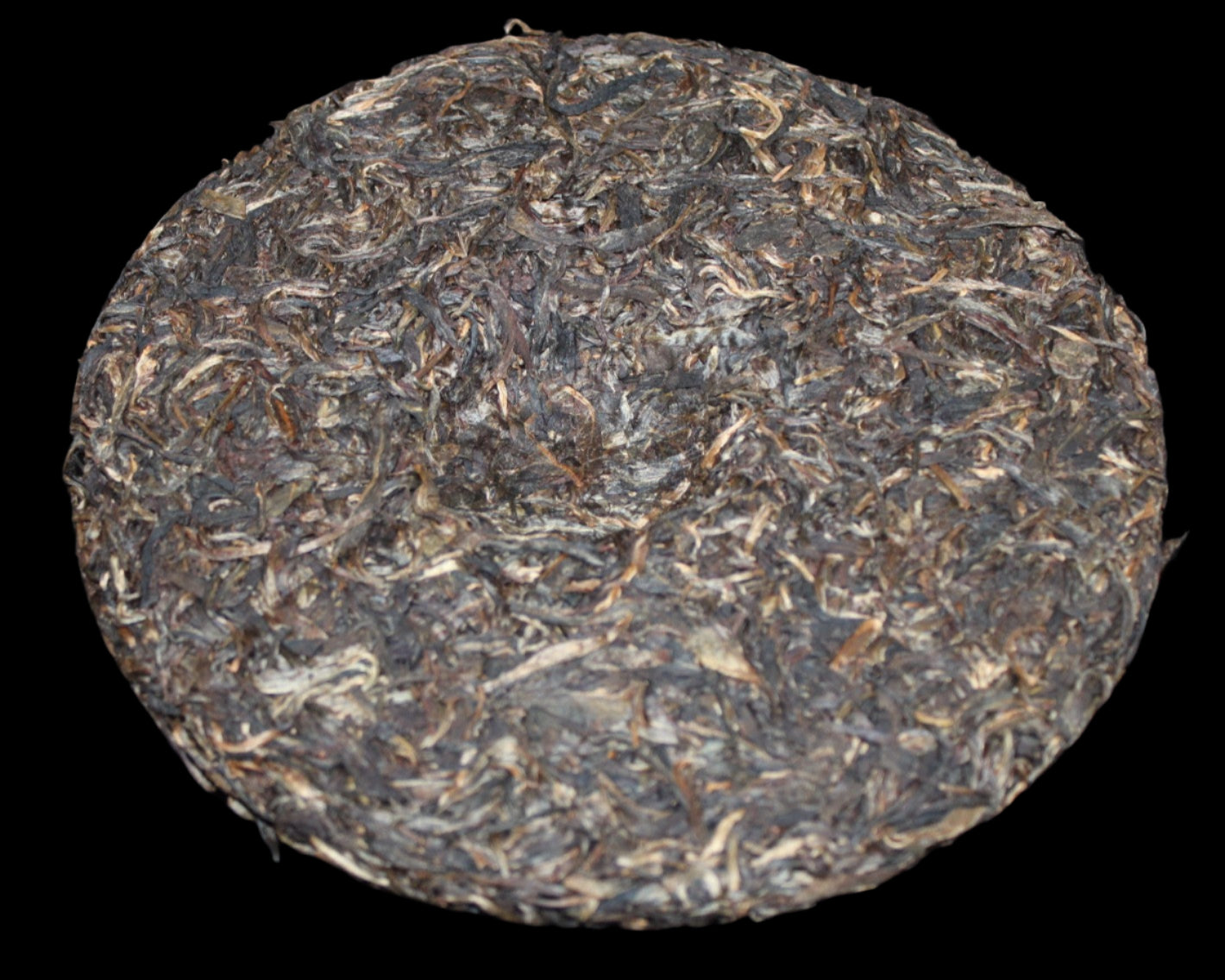 2010 Spring Gu Ming Xiang Lao Ban Zhai Ancient Arbor