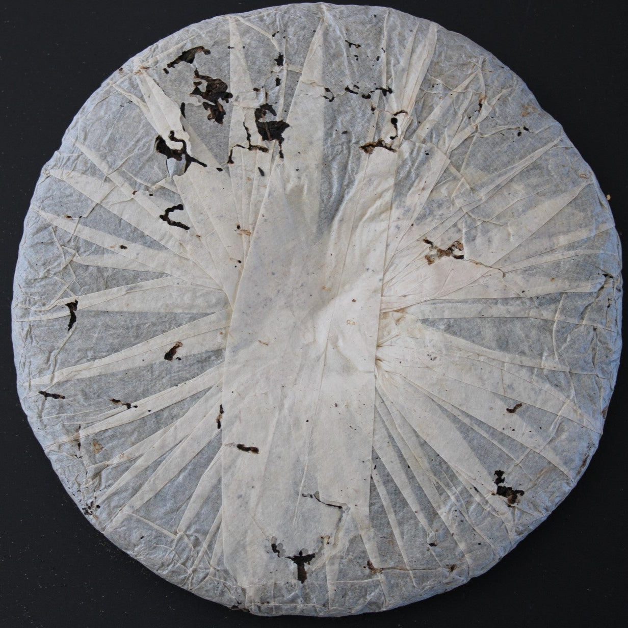 2004 Bi Yun Hao Yiwu Ancient Arbor