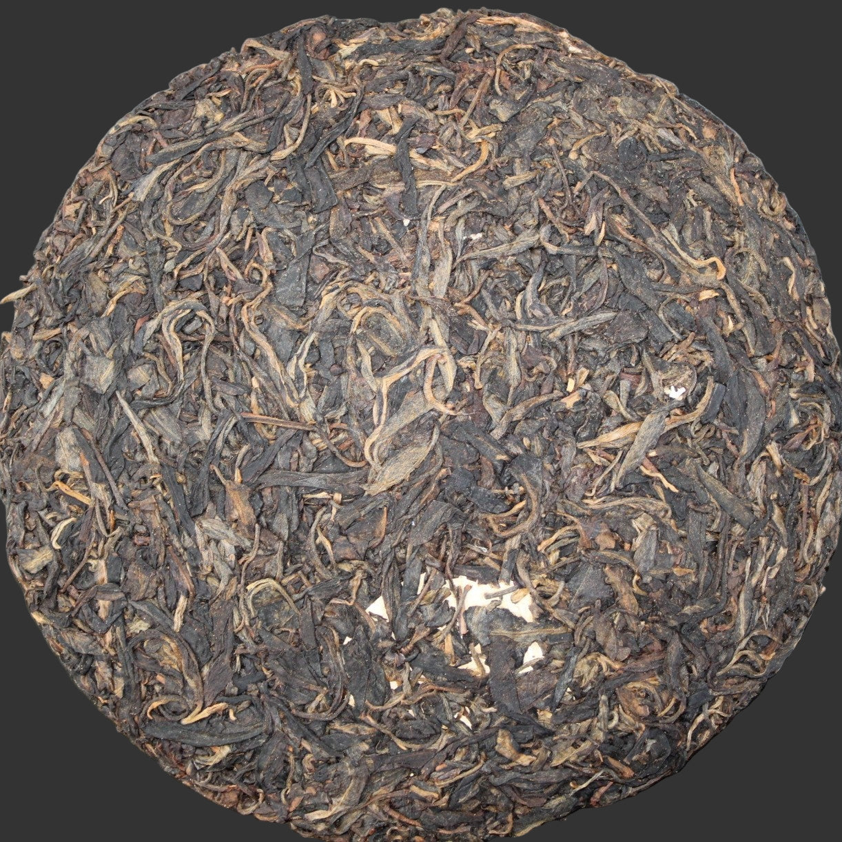 2004 Bi Yun Hao Yiwu Ancient Arbor