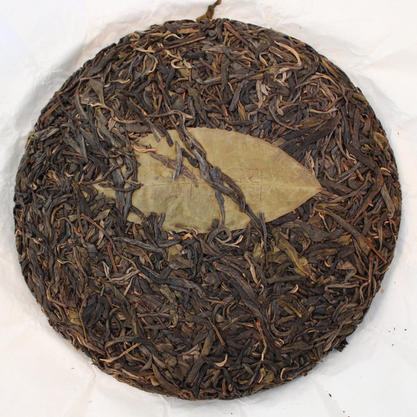 2022 Spring Farmer Leaf Tea Jingmai Guanglong Gu Shu